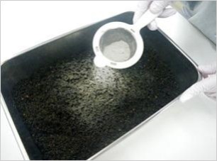 試験操作：複合バイオ製剤類添加状況
