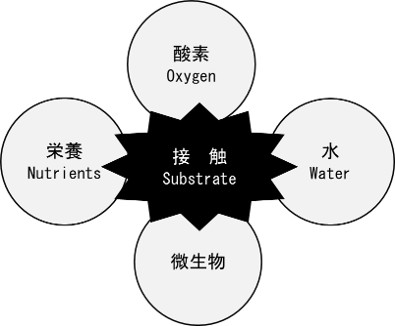 図-1
