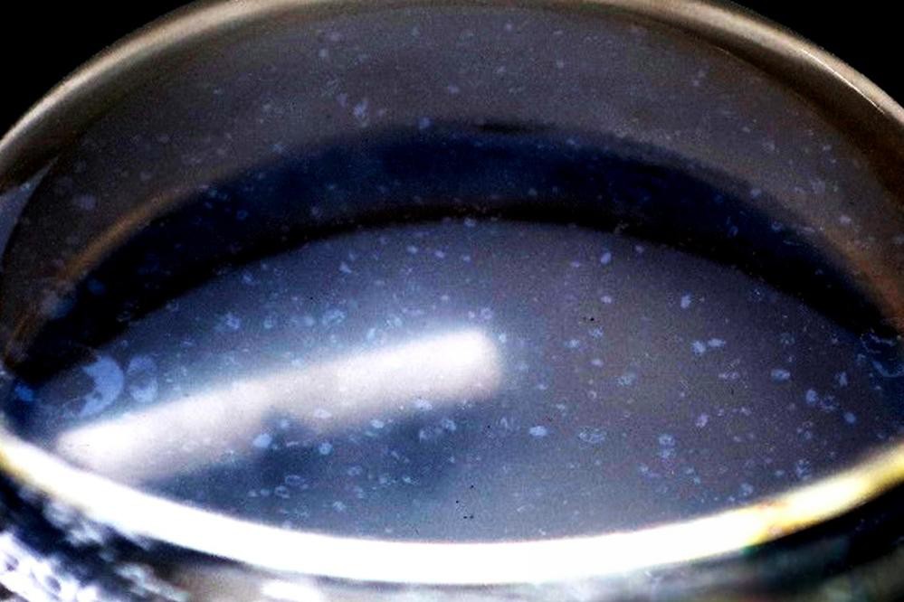 ①ブランク系列①：ブランクは油膜が点状に確認された。