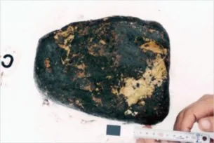 Day 0: black heavy oil over the entire rock