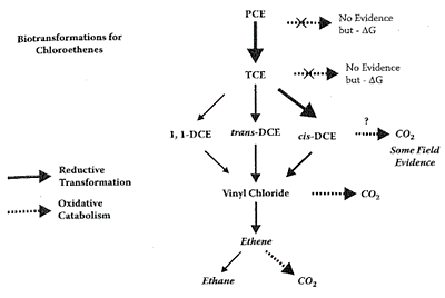 嫌気性微生物による脱塩素反応の図