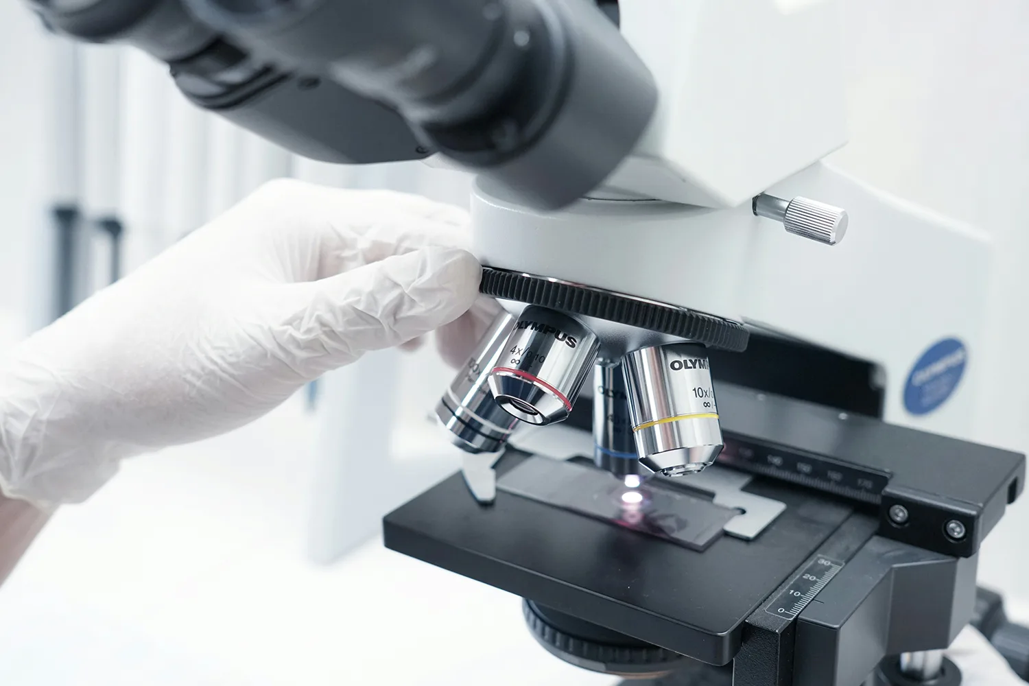 Monitoring microorganisms under a microscope